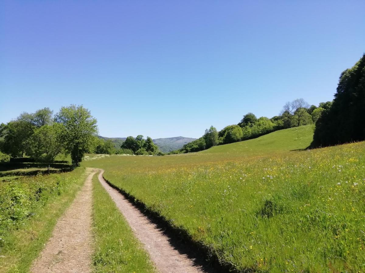 Maison A La Campagne Au Coeur Du Cantal Dept 15 Marmanhac Екстер'єр фото